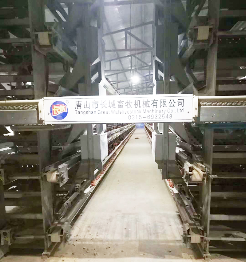 若是您想用自动化装备养蛋鸡，，哪些蛋鸡装备是必不可少的？？？